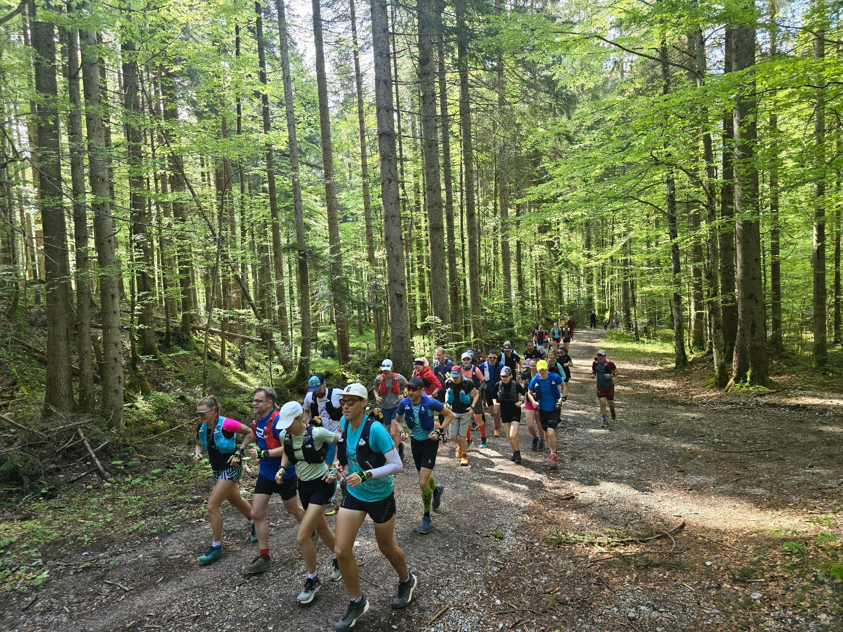 Trailrunning mit two peaks endurance